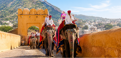 6a44f5ca8dcfd.png
